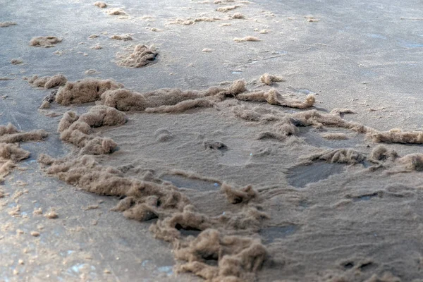 Breuk Van Turf Het Verwerkingsbedrijf — Stockfoto