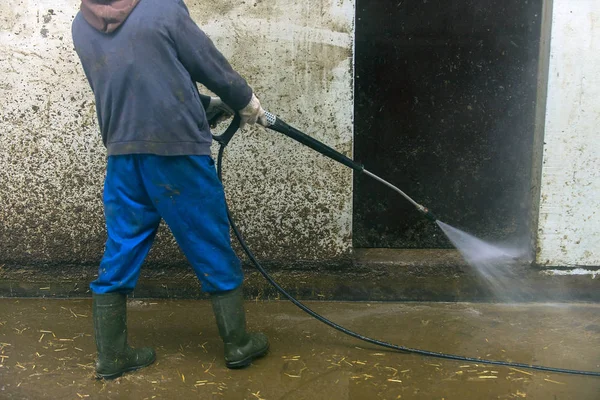 Moderna Stalla Uomo Alla Fattoria — Foto Stock