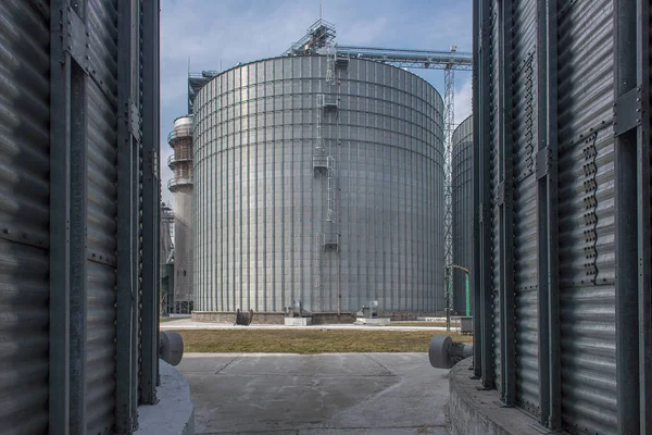 Grenier Spécialement Équipé Pour Stockage Long Terme Grain — Photo