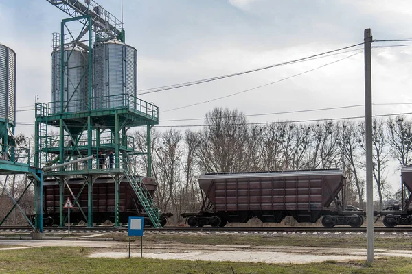 Завантаження Зерна Вагони Елеваторі — стокове фото