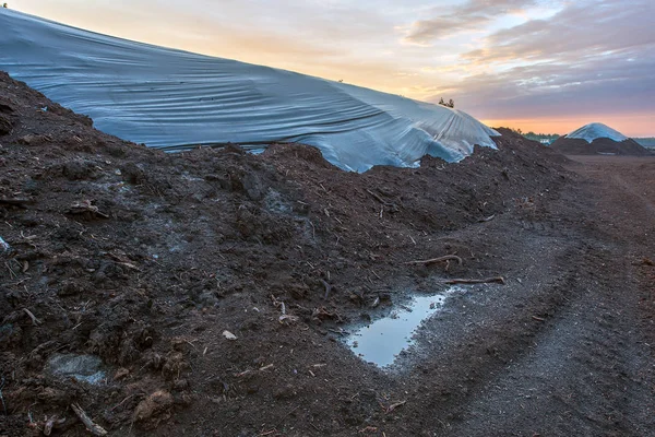 Ukrayna Polesie Bölge Turba Alanları Bir Mineral Çıkarımı — Stok fotoğraf