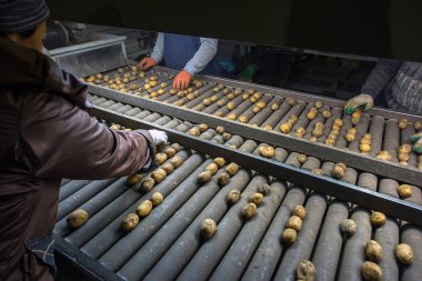 depolama ve patates, ambarlar sıralama