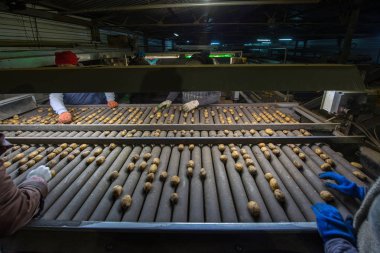 depolama ve patates, ambarlar sıralama
