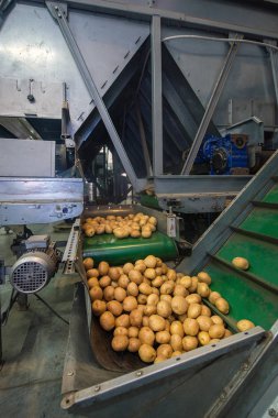 depolama ve patates, ambarlar sıralama