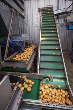 depolama ve patates, ambarlar sıralama