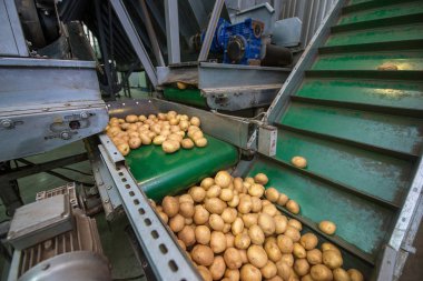 depolama ve patates, ambarlar sıralama