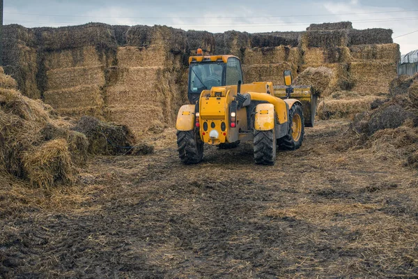 Agricultura Ucrania Cosecha Almacenamiento Ensilado Forraje Para Ganado — Foto de Stock