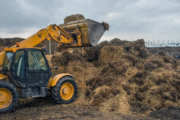 Agricultura Ucrania Cosecha Almacenamiento Ensilado Forraje Para Ganado — Foto de Stock