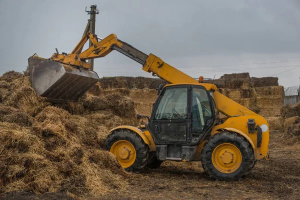 Landbouw Oekraïne Oogsten Opslag Van Kuilvoer Voedergewassen Voor Vee — Stockfoto