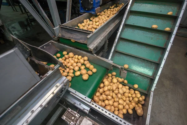 depolama ve patates, ambarlar sıralama