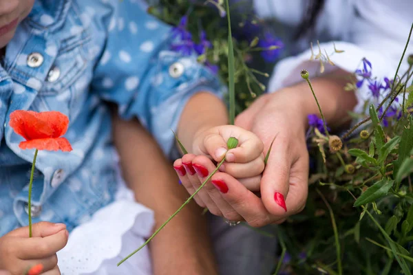 Baby Hand Mother Hand Poppy Flower Bud Love Harmony — Stock Photo, Image