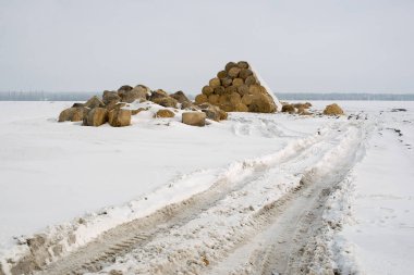 Piramitler alanında kış aylarında Ukrayna yığılmış saman yığını