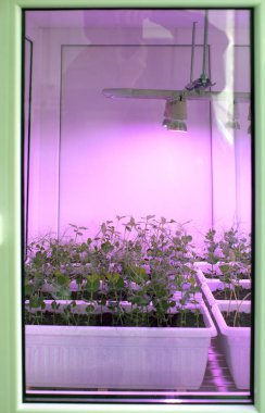 Laboratuvar araştırma tesisleri, kuluçka bir çiftlikte