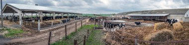 farming, livestock farming in Ukraine clipart