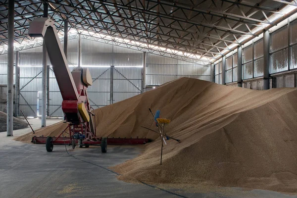 Entrepôt Hangar Pour Stocker Les Cultures Céréalières — Photo