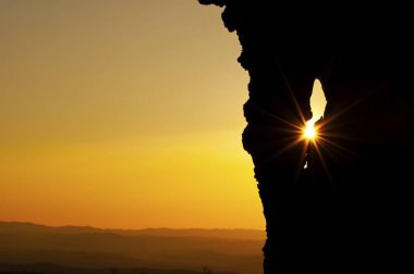 Ağaç siluet ve günbatımında ağacında delikten çıkıntılı yapraklara