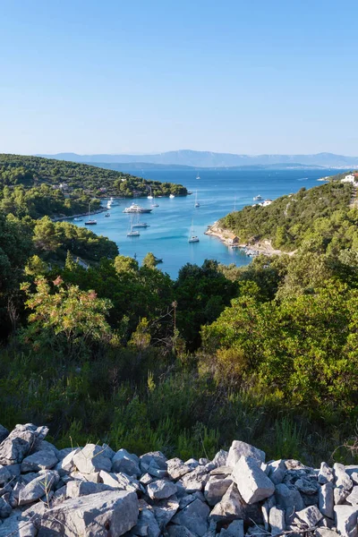 Yatlar Hırvat Adası Adriyatik Denizi'ile güzel Körfezi Panoraması
