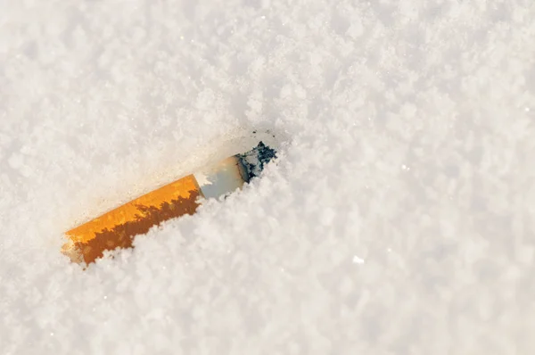 Primer plano del estuche de cigarrillo con filtro en la nieve —  Fotos de Stock