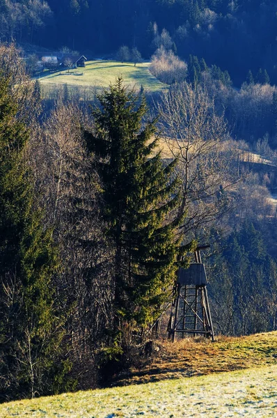 Skogskanten med trä jakt dölja under träd — Stockfoto