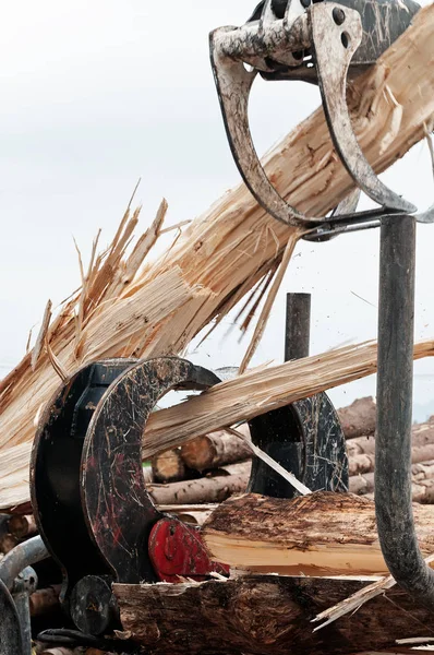 Large Wooden Log Being Forcefully Split Hanging Timber Jaws Hydraulic — Stock Photo, Image