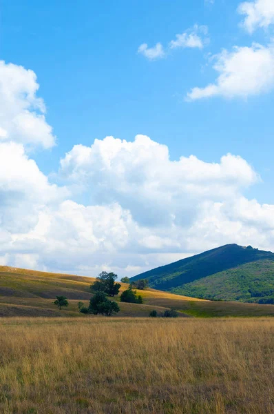 Altın çayır benzeri meadows, yeşil tepelerin ve beyaz bulutlar üzerinde mavi arka plan sky Slovenya Vremscica dağda