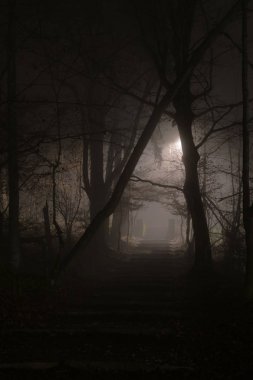 Mysterious stony stairs in dense fog at night in forest. Horror and mystery concepts. clipart
