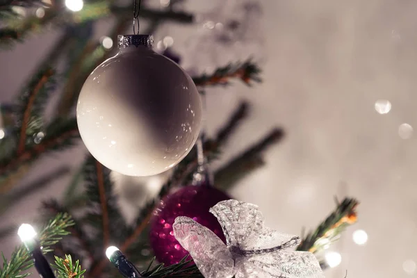 Closeup Ornamentos Brancos Roxos Verdadeira Árvore Natal Abeto Com Luzes — Fotografia de Stock