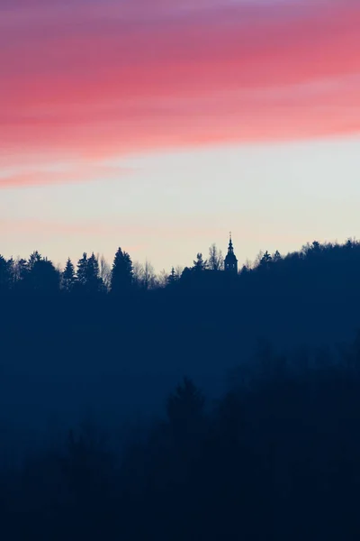 Silhouette Cime Degli Alberi Chiesa Cattolica Bellissimo Sfondo Cielo Serale — Foto Stock