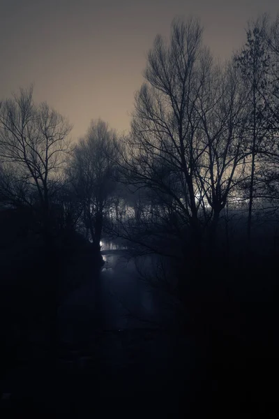 Scène Sombre Ruisseau Doux Silhouettes Arbres Nus Par Une Nuit — Photo