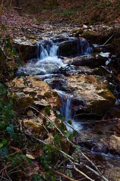 Beautiful Fresh Mountain Stream Autumn Forest Nature Ecology Forest Drinking — Stock Photo, Image