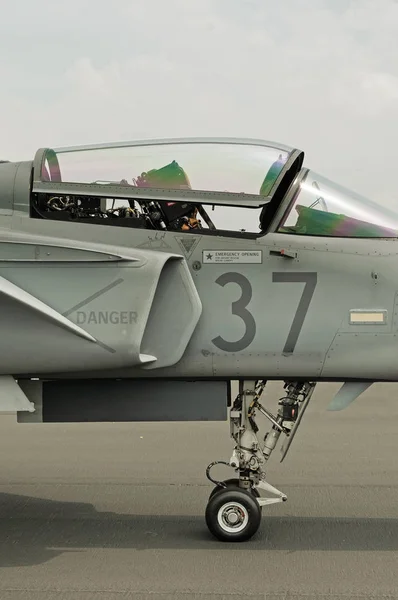 Side View Canopy Cockpit Landing Gear Saab Jas 39C Gripen — Stockfoto