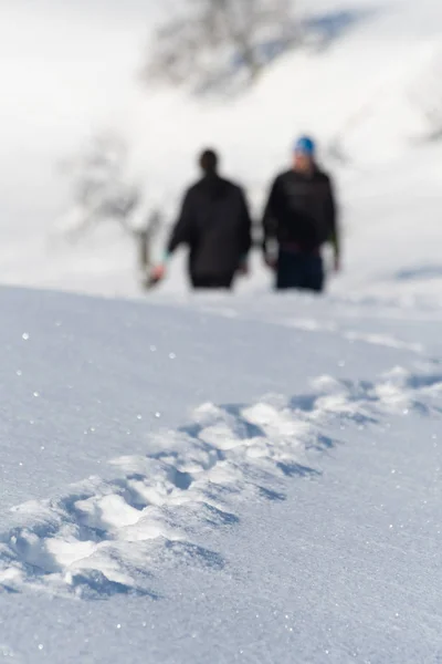 Huellas Nieve Recién Caída Dos Excursionistas Visibles Fondo Día Soleado —  Fotos de Stock
