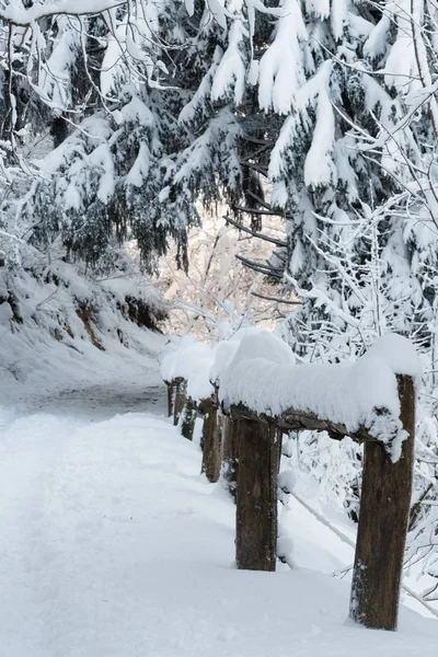 Idyllic Scene Snow Covered Country Road Old Wooden Fence Forest — Stock Photo, Image