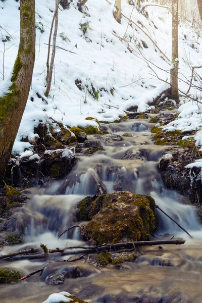 Weiche Strömung Von Frischem Bergwasser Winterwald Natur Ökologie Wälder Und — Stockfoto