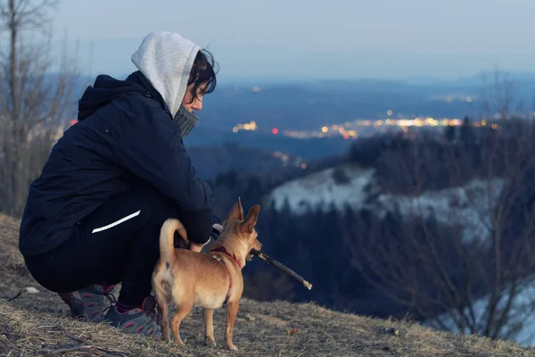 Femme Son Chien Jouent Avec Bâton Sur Colline Surplombant Ville — Photo