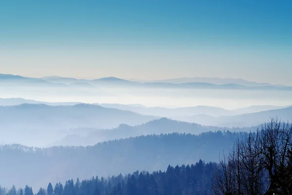 Havadan Görünümü Ormanlar Tepeler Dağlar Slovenya Puslu Vadiler Çok Sayıda — Stok fotoğraf