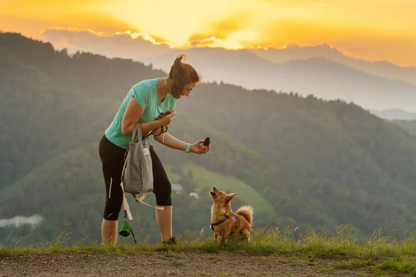 Woman and dog playing fetch on top of the hill with sunset clouds in background — Stock Photo, Image