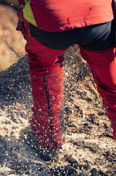 Деталь работника лесного хозяйства, обработанного древесной щепой при использовании бензопилы
