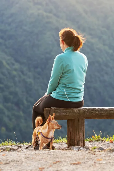 Kvinna vandrare med liten hund sitter på bänken njuter av utsikten på toppen av kullen — Stockfoto