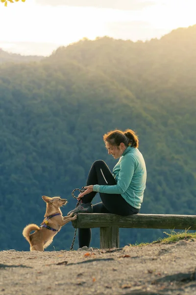 Kvinna vandrare sitter på bänken och leker med liten hund på toppen o — Stockfoto