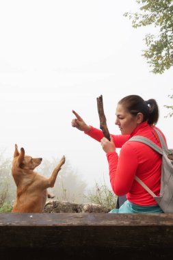 Kadın yürüyüşçü sisli bir ortamda bankta oturuyor ve küçük köpekle oynuyor.
