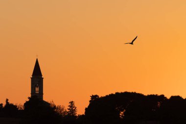 Hırvat adası Ugljan 'daki Hristiyan kilisesinin silueti ve martı parlak turuncu günbatımı gökyüzünde uçuyor. Din, inanç, umut, seyahat ve turizm kavramları