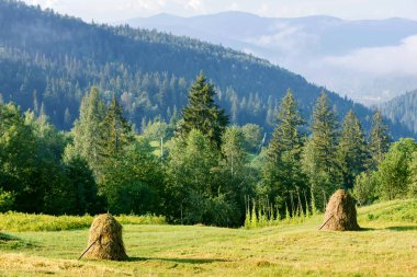 Karpatlar dağ manzarası güzel bir gün içinde. Vahşi bakire Ukraynalı doğa güzelliği. Sükunet.