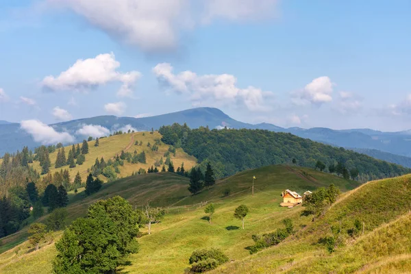 天気の良い日にカルパティア山脈の山の風景 野生の処女ウクライナの自然の美しさ やすらぎ — ストック写真