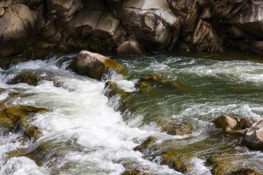 Karpatlar nehirde güzel bir gün. Vahşi bakire Ukraynalı doğa güzelliği. Sükunet.