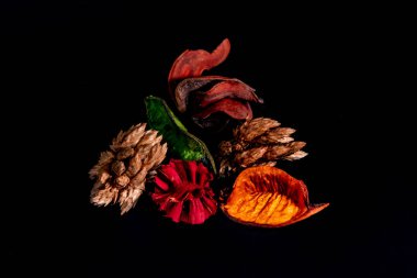 Farklı renk yaş nefesi ağaç yaprağı yaprakları ve kuru taze yeşil kahverengi siyah arka plan üzerine. 2018