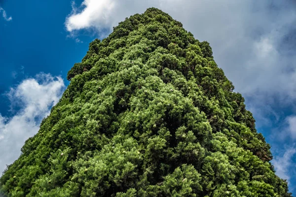 2018 年にはギリシャのビューを空を背景に緑の木 — ストック写真