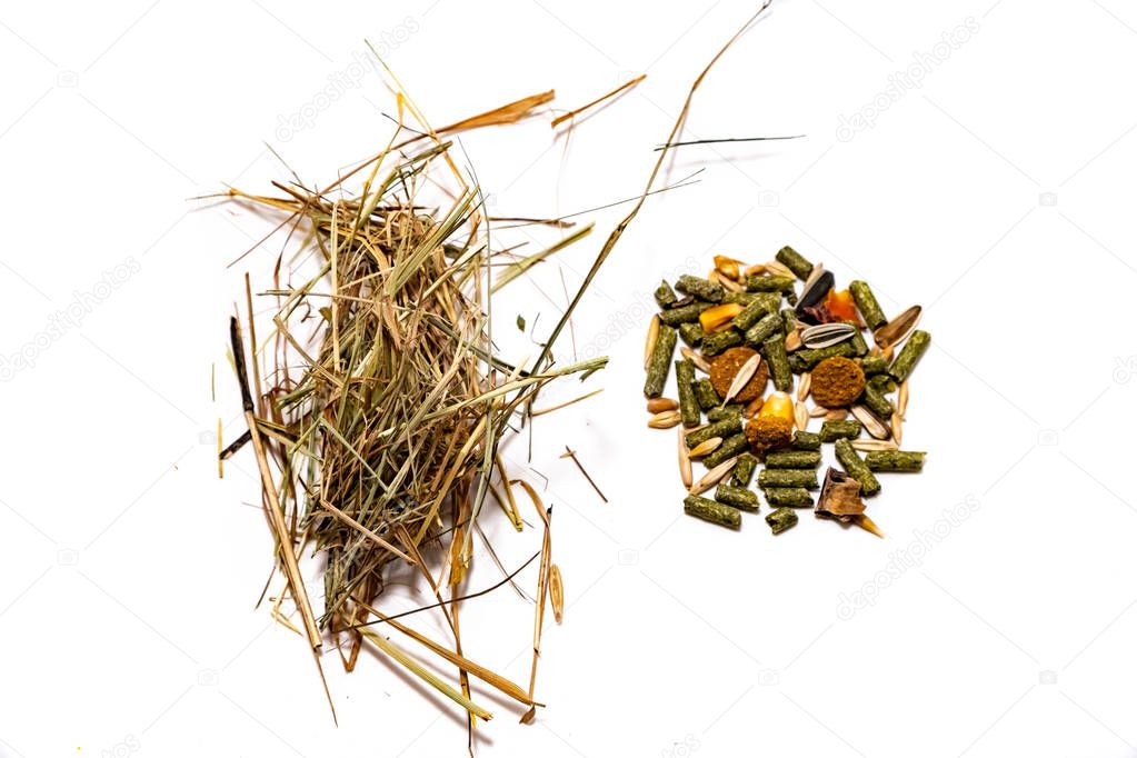 Hay and feed for rodents on a white background 2018