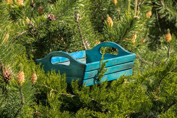 Boîte Bois Brûlé Bleu Pour Outils Produits 2018 — Photo