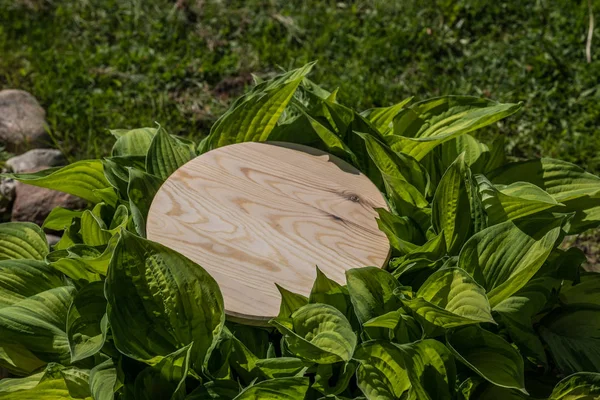 Creatieve Keuken Bestuur Een Achtergrond Van Gras 2018 — Stockfoto